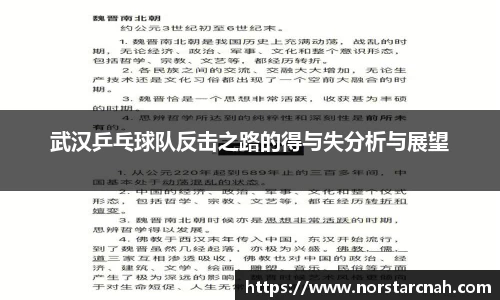 武汉乒乓球队反击之路的得与失分析与展望