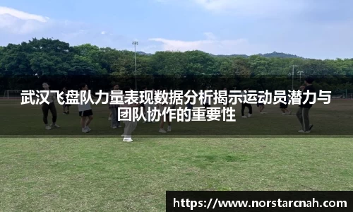武汉飞盘队力量表现数据分析揭示运动员潜力与团队协作的重要性