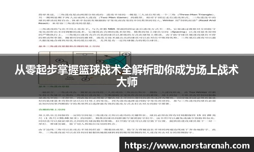从零起步掌握篮球战术全解析助你成为场上战术大师