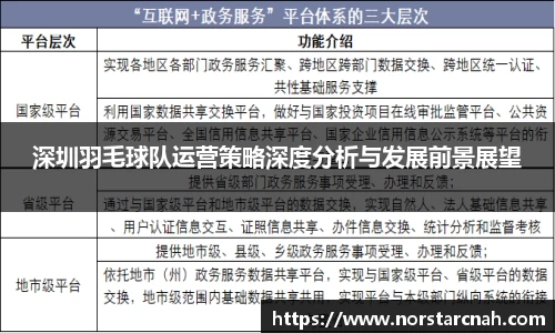 深圳羽毛球队运营策略深度分析与发展前景展望