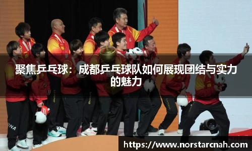 聚焦乒乓球：成都乒乓球队如何展现团结与实力的魅力