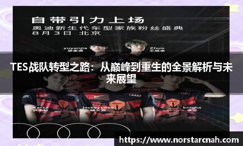 TES战队转型之路：从巅峰到重生的全景解析与未来展望