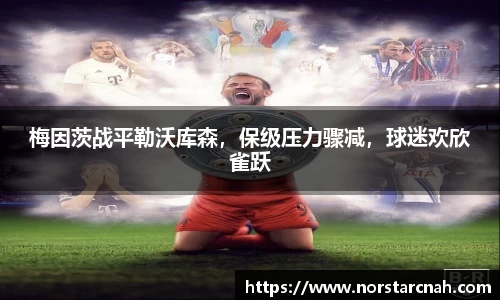 梅因茨战平勒沃库森，保级压力骤减，球迷欢欣雀跃