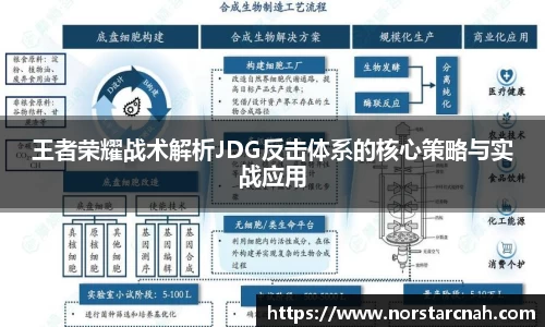 王者荣耀战术解析JDG反击体系的核心策略与实战应用